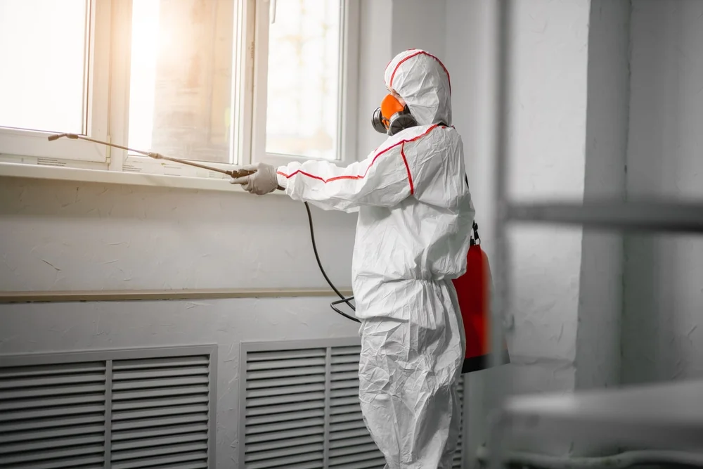 Professional mold remediation services in Locust Grove, OK